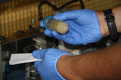 Corpoica Realizará Programa de Entrenamiento para Transferencia de Embriones Congelados - 30 de Octubre de 2014