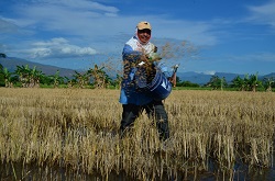 Corpoica Presentará Experiencia Exitosa en Manejo de Suelos Durante el Foro de Conflictos de la Región Centro y Santanderes - 05 de Diciembre de 2014