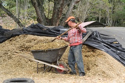 Corpoica entrega alternativas de alimentación para el ganado en épocas de sequía - 03 de Marzo de 2015