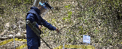 Desminado, fundamental para la Colombia del posconflicto y la restitución - 13 de Abril de 2015