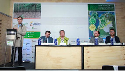 Colombia tiene un potencial forestal de 24 millones de hectáreas para explotación comercial - 13 de Julio de 2015