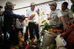 Cacao colombiano triunfa en Europa y se ratifica como uno de los mejores del mundo - 29 de Octubre de 2015