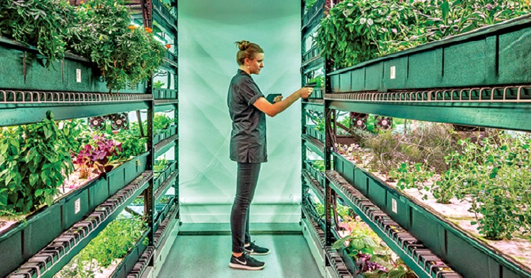 Agricultura vertical, la respuesta al autoabastecimiento