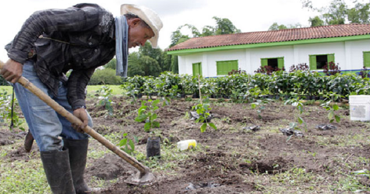 Dian: “En el sector agropecuario solo el 1 % debe acogerse a facturación electrónica”