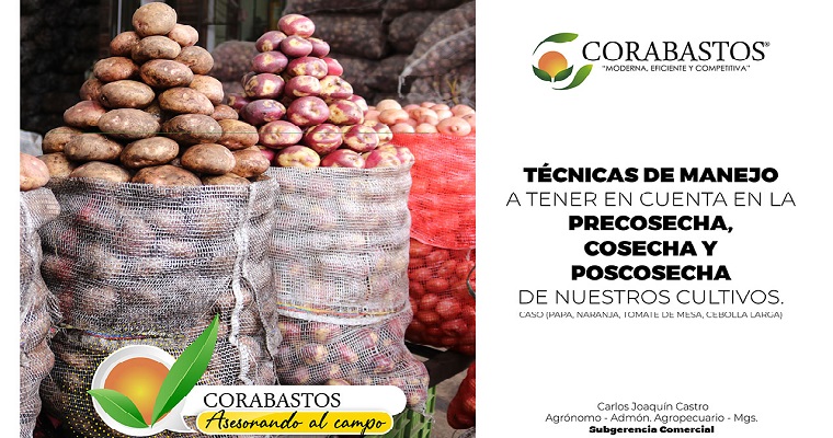 Técnicas de manejo en la precosecha, cosecha y poscosecha de nuestros cultivos.