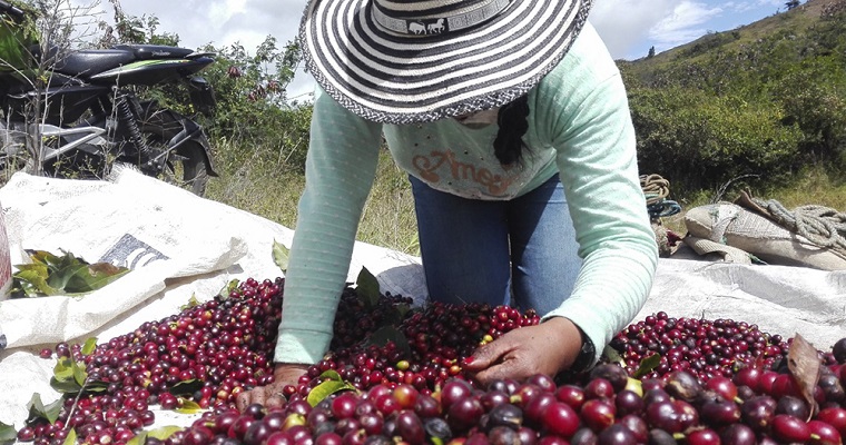 El programa que le permitió emprender a familias que fueron víctimas de la violencia en Nariño