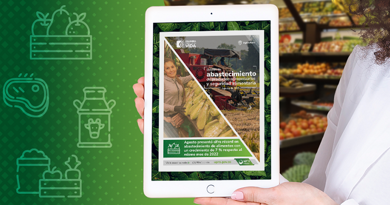 En agosto ingresaron 597.656 toneladas de alimentos a las centrales de abastos del país, una cifra histórica