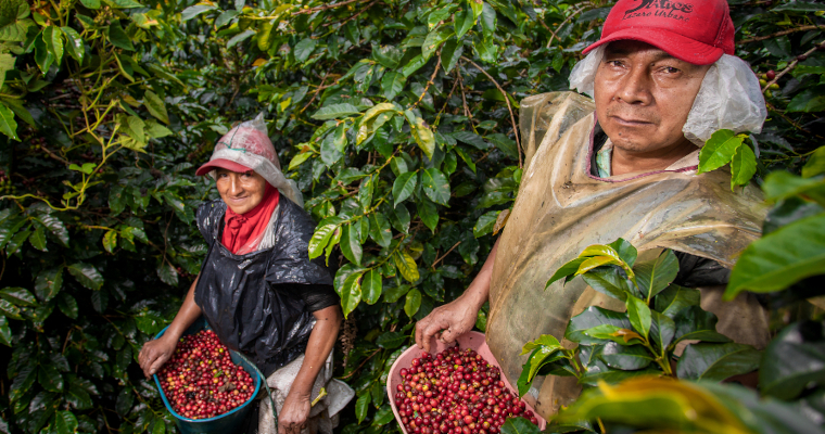 En enero, exportaciones agropecuarias y agroindustriales crecieron 42,3 %. El mejor enero desde 1991