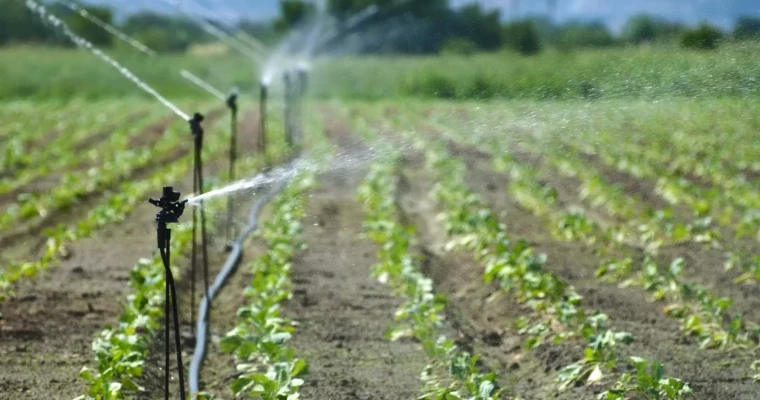 MinAgricultura lanza incentivo para pequeños productores que inviertan en riego