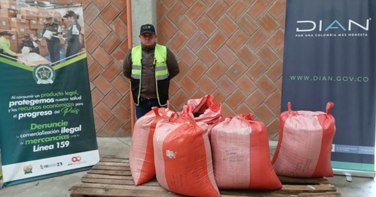 ¡Sin descanso! Funcionarios del ICA, DIAN y POLFA han decomisado más de 300 kilos de semilla de cebolla en lo que va del 2025
