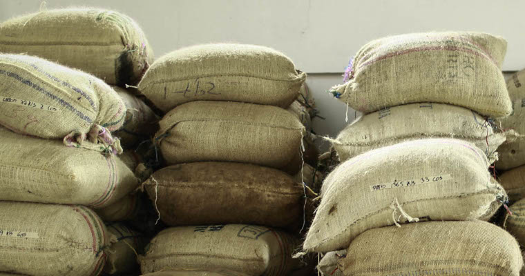 Las exportaciones del agro se mantienen en aumento y demuestran el potencial del campo colombiano para producir alimentos