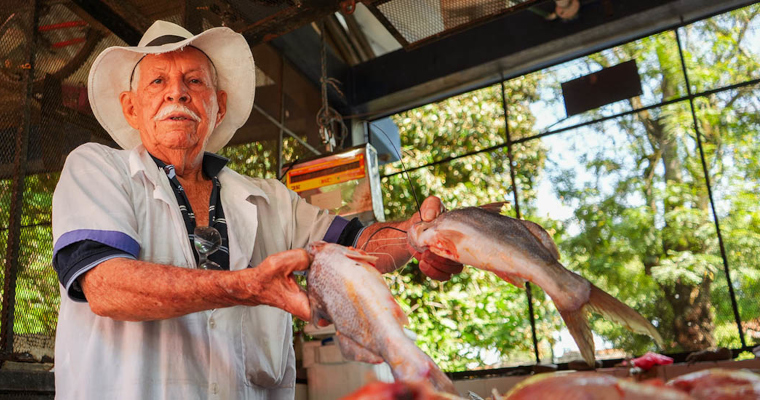 En la Semana Mayor, el sector acuícola y pesquero del país invitan a comer las delicias de los mares y ríos colombianos