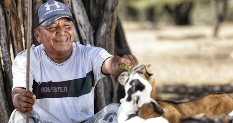 El ICA levantó la emergencia sanitaria por brote de carbunco bacteridiano en La Guajira