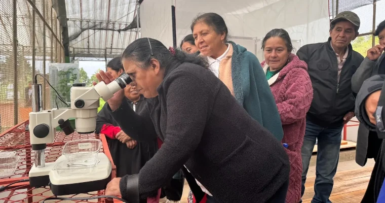 AGROSAVIA junto con FEDEPAPA se unen para organizar una jornada de intercambio de conocimiento sobre tecnologías y manejo de Punta Morada