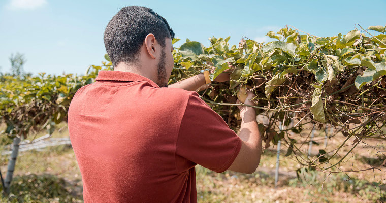 Cuando el campo escucha, los jóvenes se quedan