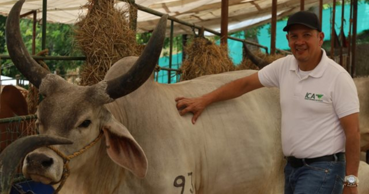 El ICA presente en la Feria Agropecuaria de Sincelejo: compromiso, conocimiento y cercanía con el campo