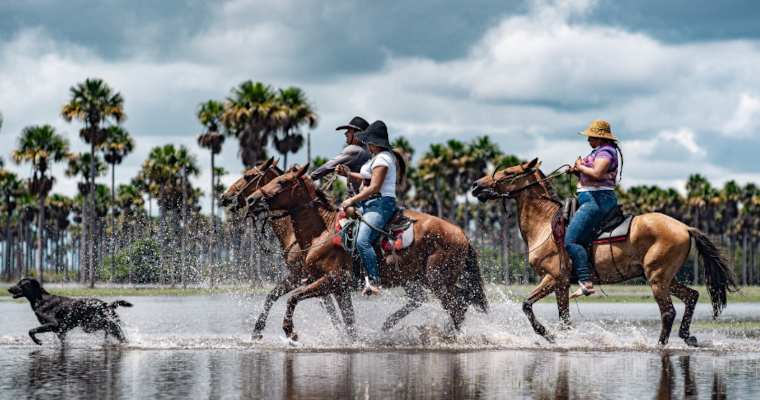 Proteger el suelo rural: un paso clave contra la inseguridad alimentaria