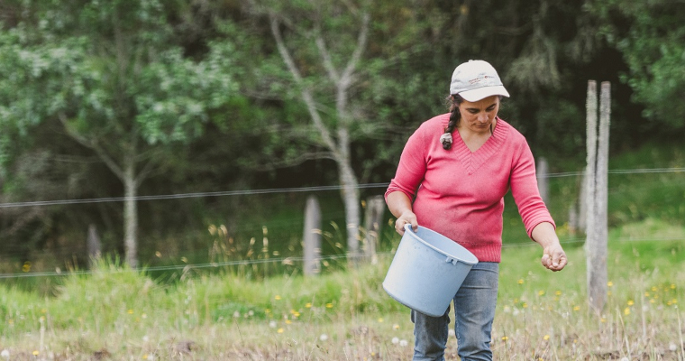 El agro no para de reactivar la economía: durante abril, el empleo en el campo registró más de 3 millones de personas ocupadas
