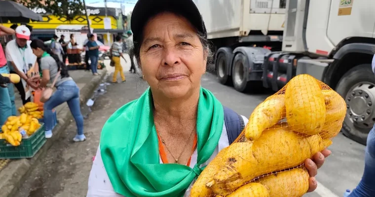 Arracachatón en Cajamarca