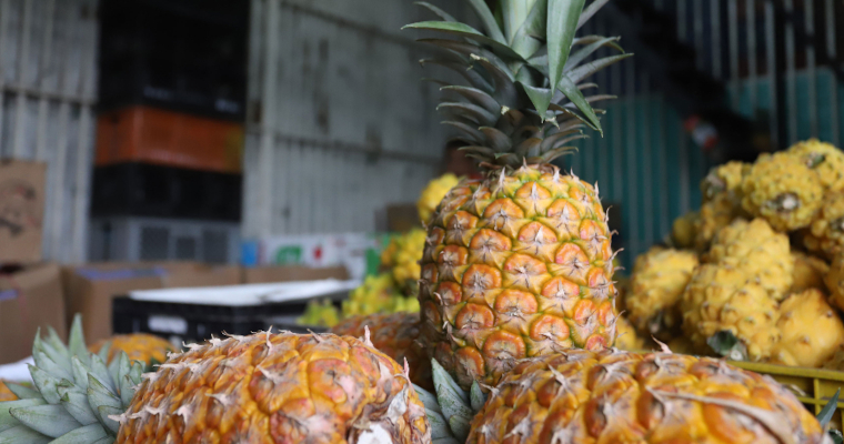 En junio bajaron los precios de frutas frescas, carne de cerdo y procesados