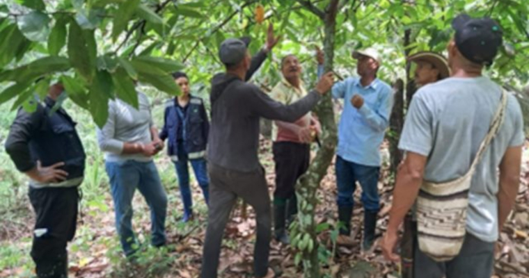 El ICA fortalece la sanidad vegetal en La Guajira