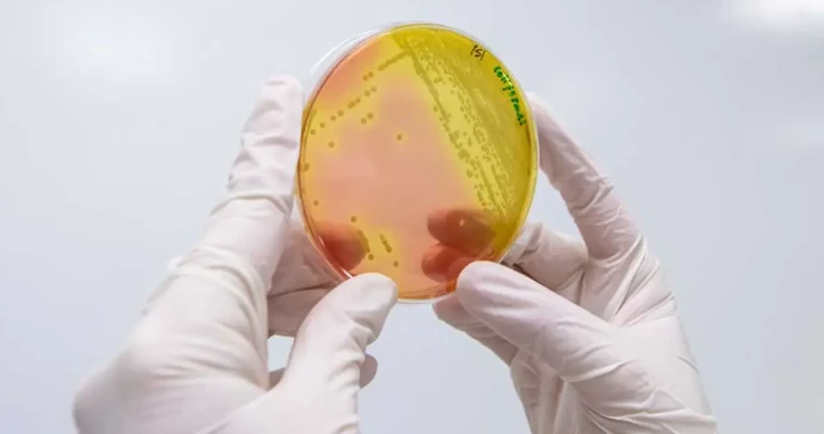 Plan estratégico de Bioprospección de AGROSAVIA para aprovechar el potencial de los microorganismos en la agricultura sostenible