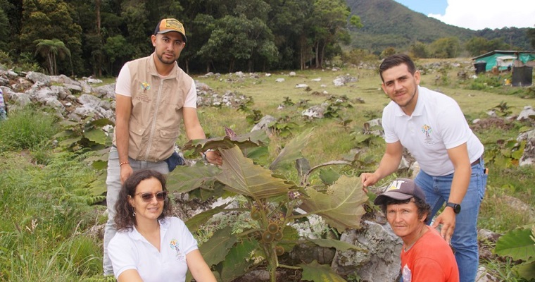 Beneficiarios de restitución en Chinácota, recibieron reembolsos económicos e insumos para fortalecer sus proyectos productivos