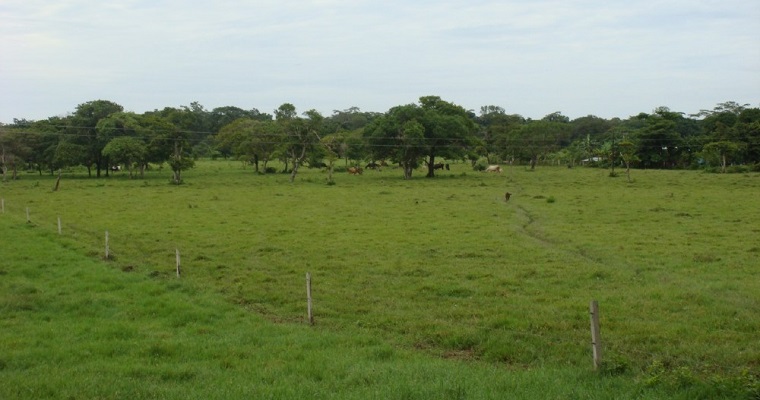Habilitan a Unidad de Restitución de Tierras como gestor catastral nacional