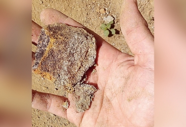 Incendios erosionan suelos