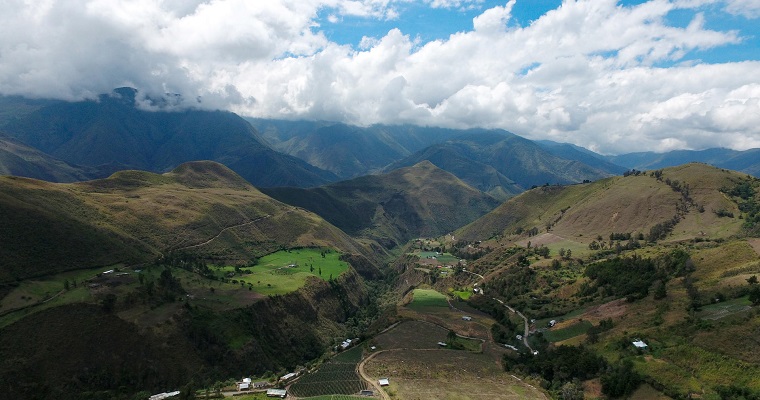 Investigadores realizaron la primera revisión de la literatura sobre las causas de la deforestación en Colombia y su relación con políticas de desarrollo y paz