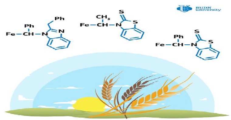 Han creado las sustancias que estimulan el crecimiento de las plantas