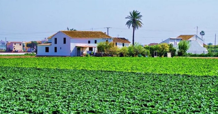 Ecología y agricultura, un binomio de futuro