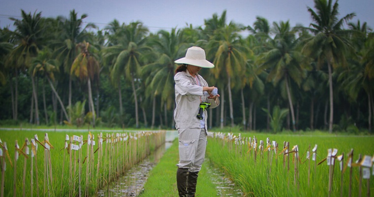 Los sistemas agroalimentarios, la próxima frontera de la acción climática, necesitan de la ciencia para encontrar soluciones justas y equitativas