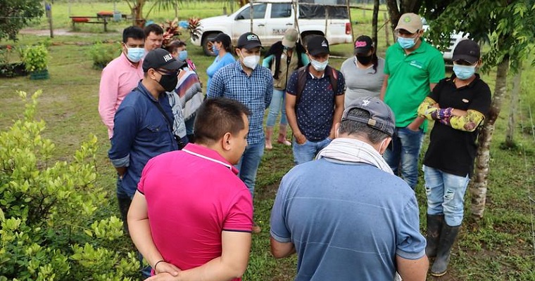 Manejo integral de forrajes tropicales: La apuesta ambiental en la Amazonía