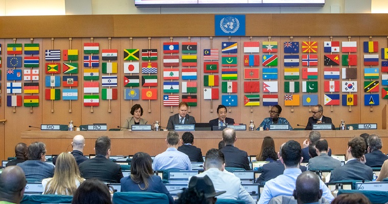 La FAO pide más cooperación en el sector bananero, de importancia para algunos de los países menos adelantados y los países de bajos ingresos y con déficit de alimentos, así como para los pequeños agricultores