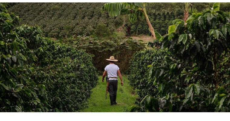 Gobierno presenta recomendaciones para proteger la salud de productores del campo