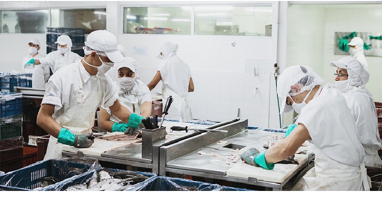 Ministerio de Agricultura comparte recomendaciones de Minsalud para atender posibles casos de Covid 19 en plantas de producción de alimentos