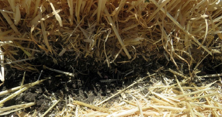Ahorrar tiempo, dinero y agua con prácticas sustentables