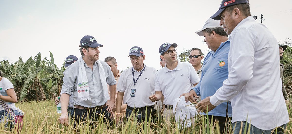 MinAgricultura presenta estrategia 360 Grados para la mitigación de riesgos