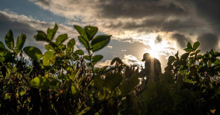 Campesinos de Cauca: así pueden aplicar a apoyos para reactivar agro