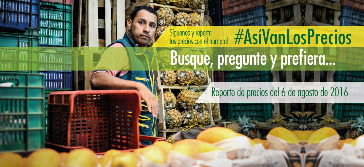 El-abastecimiento-de hoy permitió-la-buena-oferta-en-centrales-del-país-asegura-Corabastos - 06 de agosto de 2016