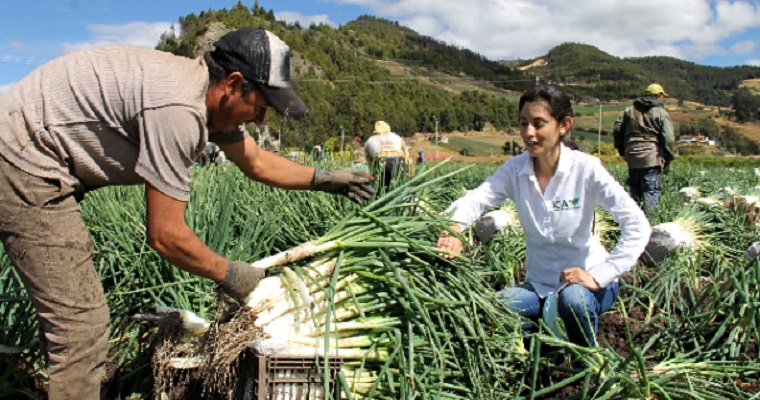 ICA: 61 años escribiendo la historia del campo colombiano