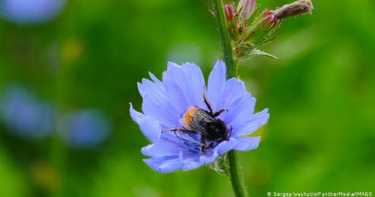 Agricultura del carbono: ¿solución climática o lavado verde?