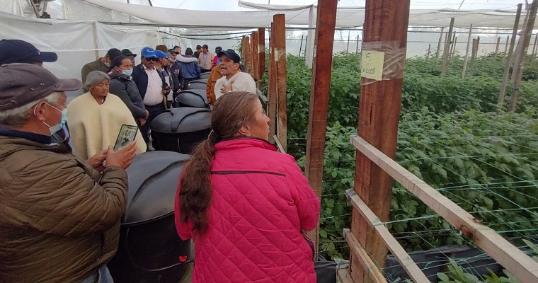 Gracias a AGROSAVIA y ADR, paperos y asistentes técnicos de Cundinamarca y Boyacá se actualizan en estrategias para mitigar situación de los agroinsumos