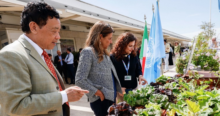 Un nuevo jardín hidropónico allana el camino para experimentar una mejor gestión de los recursos en la agricultura sin suelo