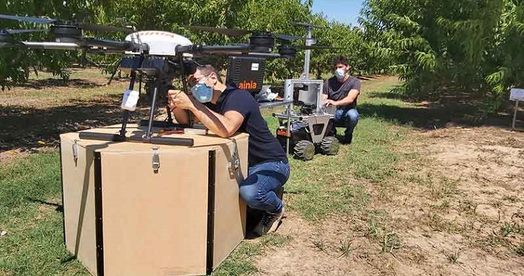 Desarrollan un dispositivo para el diagnóstico de cultivos en tiempo real