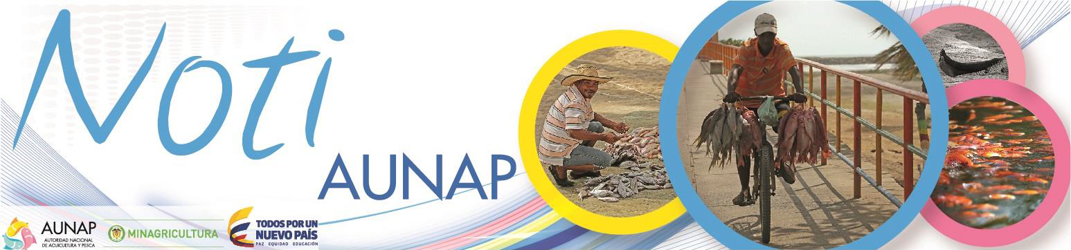 YO ESPERO AL CAMARÓN DURANTE LA VEDA - 21 de Diciembre de 2015