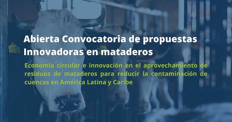 Buscamos propuestas innovadoras en la gestión sostenible de residuos en mataderos y economía circular en américa latina y caribe