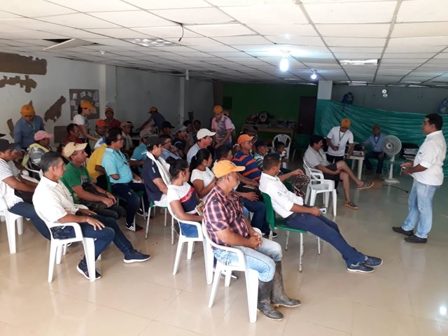 La prevención de la fiebre aftosa y la brucelosis bovina, es una prioridad para el Guaviare