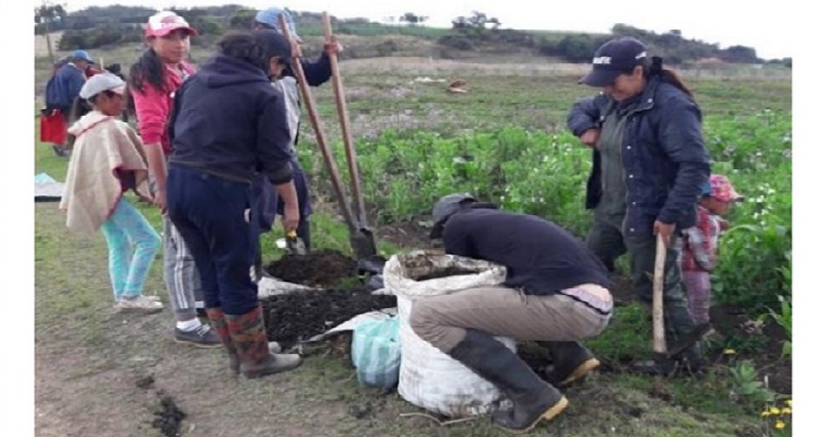 Metodología internacional mejoraría sustentabilidad alimentaria en comunidades colombianas